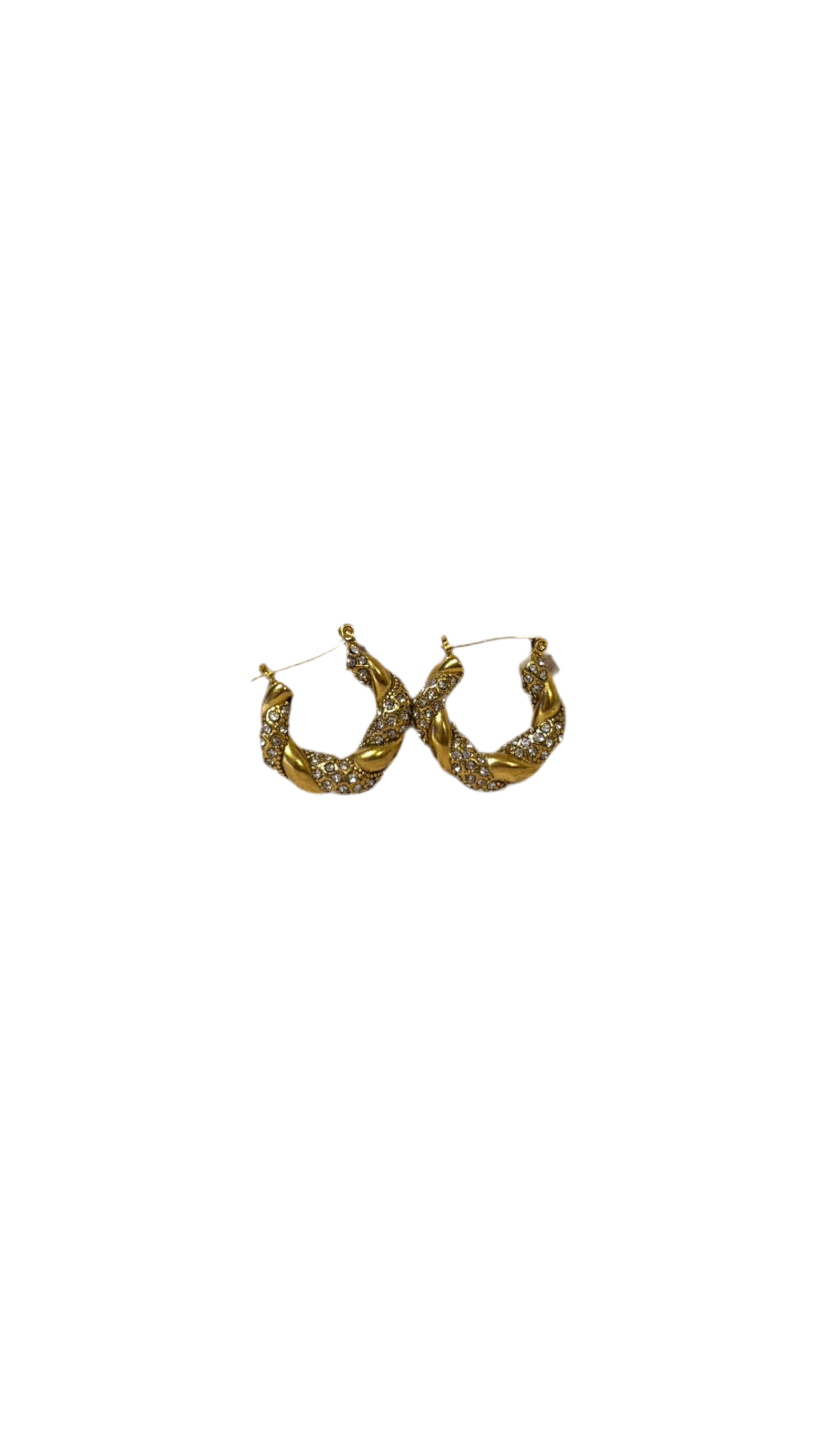 Pauli Earring