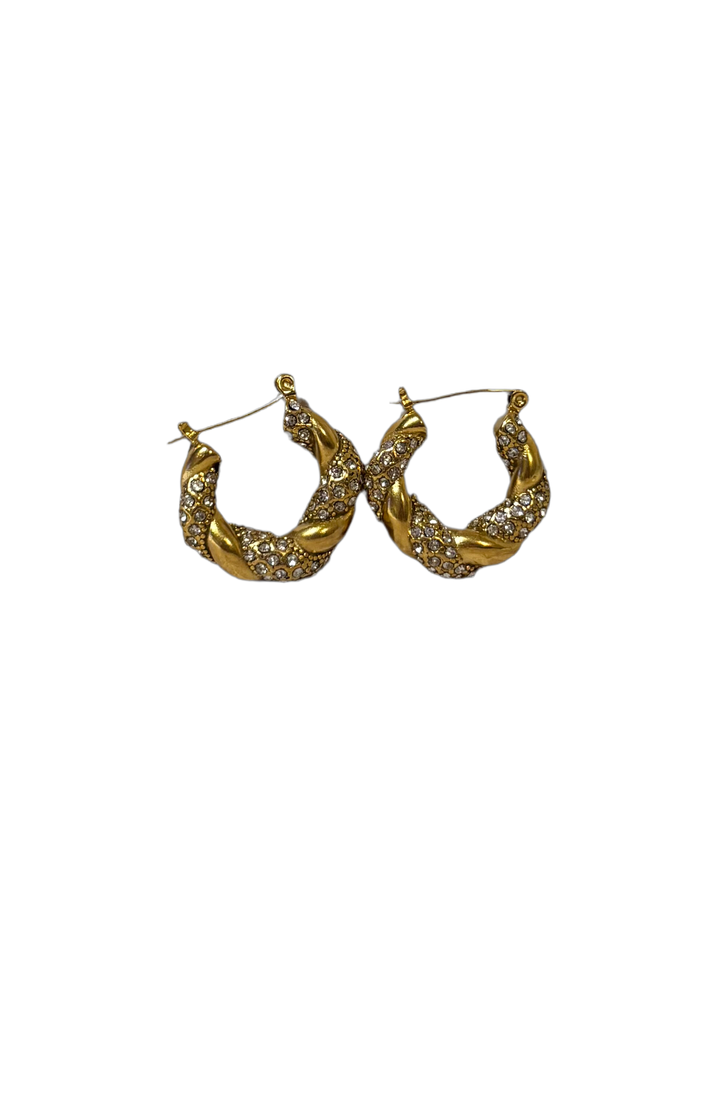 Pauli Earring